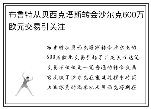 布鲁特从贝西克塔斯转会沙尔克600万欧元交易引关注